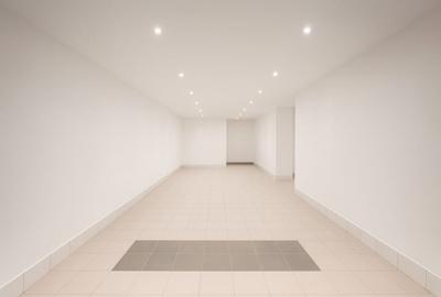 Spatiu comercial, 230 MP utili, 10 parcari, zona Vivo - 3