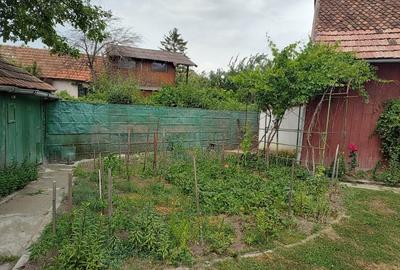 Casa de Vanzare in Bod - Ideala pentru Familie! - 13