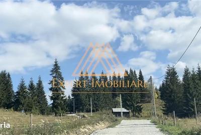 Casă cu 4 camere cu Teren 29000 Mp în Central - 1