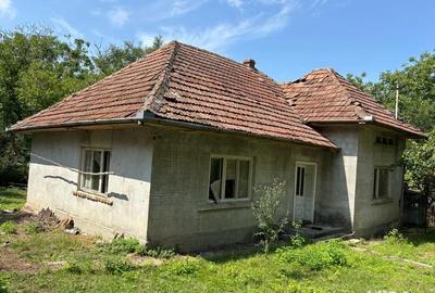 Casă cu 3 camere în Vicea - 1