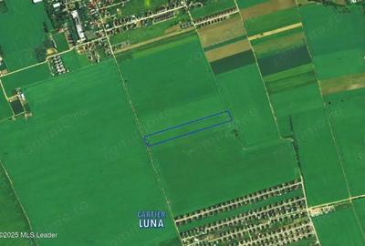 Teren de 27840 mp, în Balotești - 3