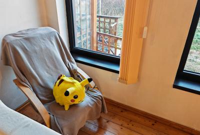 Casa 4 camere libera la vanzare, pozitie deosebita VULCAN - 10