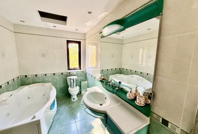 Duplex 14 camere Pantelimon Cernica 864 mp desfasurati - 25