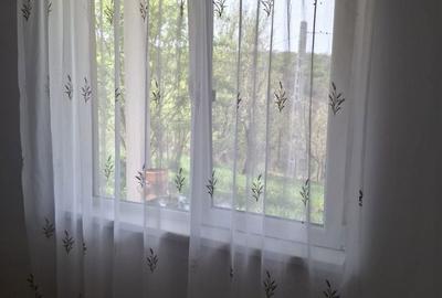 Casă cu 2 camere în Mineu - 6