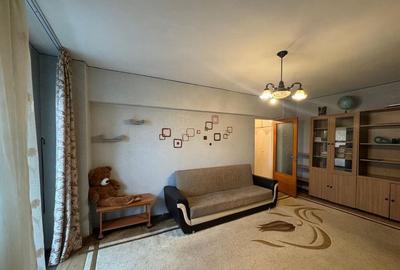 2 Camere Campia Libertatii Pet friendly - 32