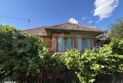 Casă cu 3 camere în Fetindia - 2