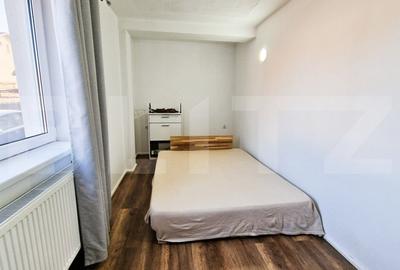 Ideal investitie! 2 apartamente cu 2 camere fiecare, curte privata, Tineretului - 4