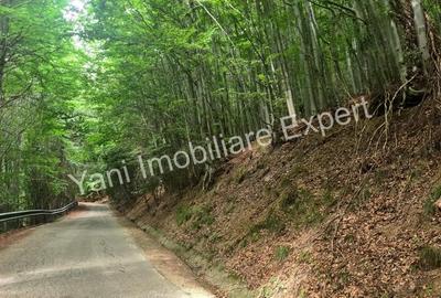 Teren de vanzare in apropiere de Transfagara?an ?i Valea Valsanului. - 17