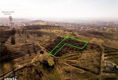 Teren de 3464 mp, în Oncea - 9