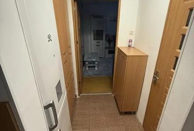 Inchiriere Apartament 2 Camere Renovat Colentina - 4