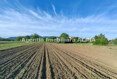 Teren de 4094 mp, în Central - 9