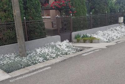 Casă cu 3 camere în Sânpaul - 5