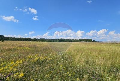 Teren partial intravilan 30,930 mp Poiana Stampei-DN E58, Suceava - 19