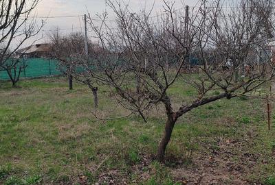 Casă cu Teren 900 Mp în Toporu - 5