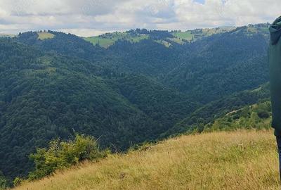 Teren de 1200 mp, în Mărișel - 1
