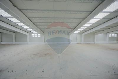 De vânzare – 2 hale industriale, 5.050 mp utili, Palota - 12