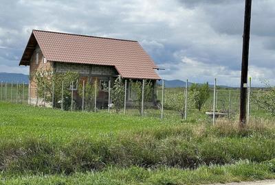 Casă cu 3 camere cu Teren 5000 Mp în Girov - 5