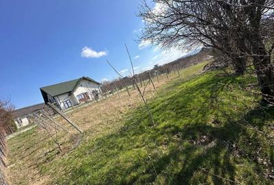 Teren de 1100 mp, în Bârnova - 1