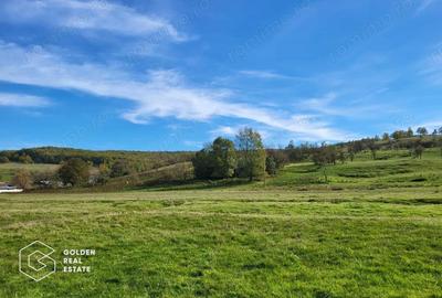 Teren de 2014 mp, în Cuveșdia