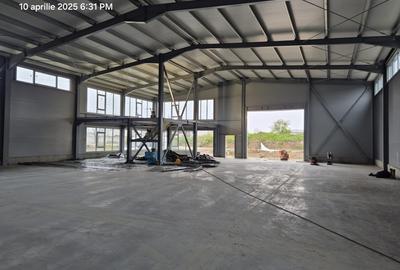 Hala de Inchiriat 600mp - Pallady - Parc Logistic 2026 - 10