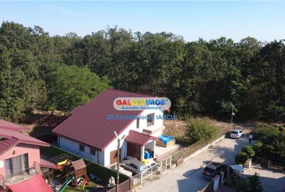 Vila cu garaj Padurea Pantelimon - 4 camere - 9