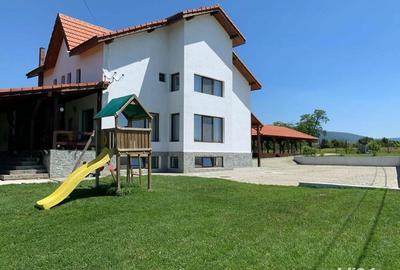 Spațiu comercial, de 450 mp, în Sasca Montană - 1