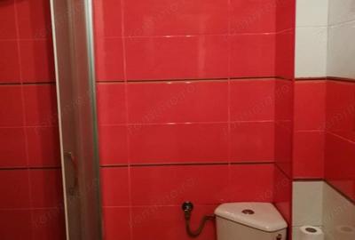 Apartament cu 2 camere în P-ța Universității