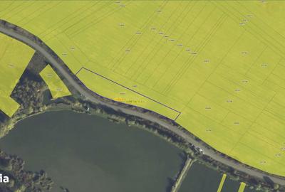 Teren de 4200 mp, în Ciurila - 1