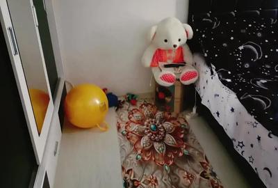 Garsonieră decomandată în Nicolae Grigorescu - 7