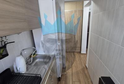 Apartament 2 Camere Doamna Ghica Bucuresti - 14