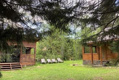 Casă cu 4 camere cu Teren 1365 Mp în Borzont - 3