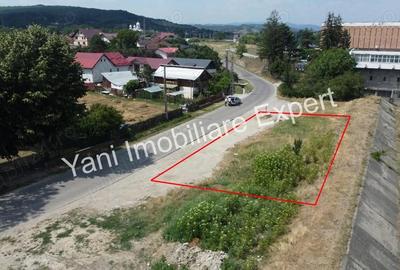Teren de vanzare in Curtea de Arge?, cartier Marina. - 2