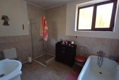 Proprietate cu vibe rural si potential turistic - 6