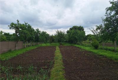 Reco, casa gepiu - 1