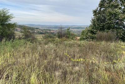 Teren extravilan de vanzare in Tileagd - 3166 mp cu panorama superba - 11