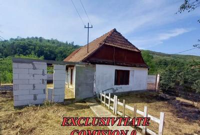 Casă cu 2 camere cu Teren 345 Mp în Mirăslău - 6
