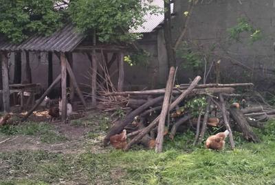Casă cu 3 camere în Fulga - 2