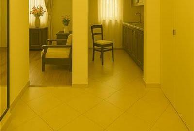 Garsonieră decomandată în Teiul Doamnei - 5