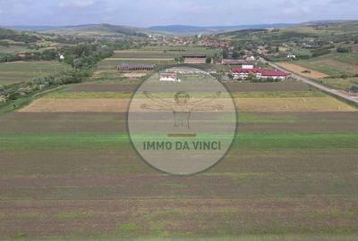 Teren de 10670 mp, în Borșa - 2