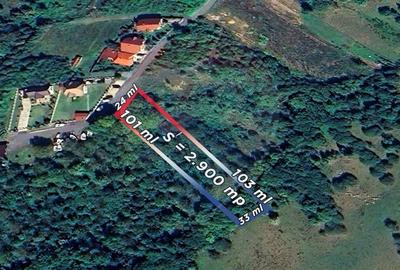 Teren agricol extravilan de 2900 mp, în Independenței - 2