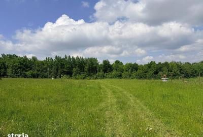 Teren de 2500 mp, în Dărmănești - 2
