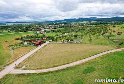 Teren de 3800 mp, în Nord - 4