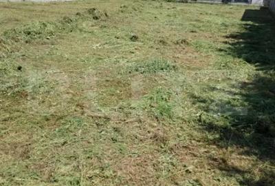 Teren de 1027 mp, în Dumbrăvița