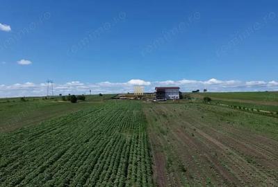 Teren Intravilan 36977 mp E 85 Intrare in Municipiul Suceava! De Vanzare! 0727817187 - 2