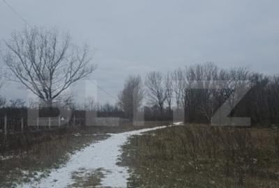 Teren de 447 mp, în Priseaca - 12