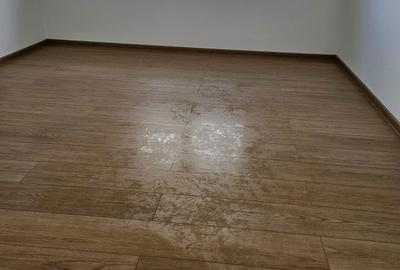 Casă cu 3 camere în Rudicica - 6