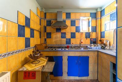 Proprietate mixta cu spatiu comercial si locuinta Strada Aurel Vlaicu - 23