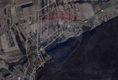 Teren agricol intravilan de 2556 mp, în Pădureni (Chinteni) - 13