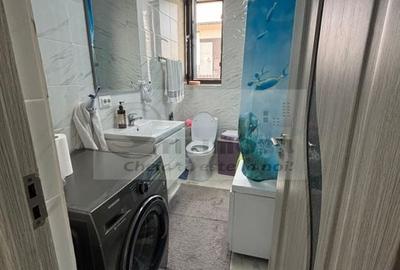 Casa individuala,mobilata si utilata complet, Bucium-Visan,400mp teren - 9