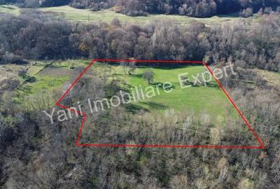 Teren 13.643 mp intravilan de vanzare in Curtea de Arge?. - 3